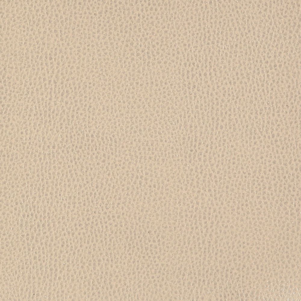 Metallic Champagne