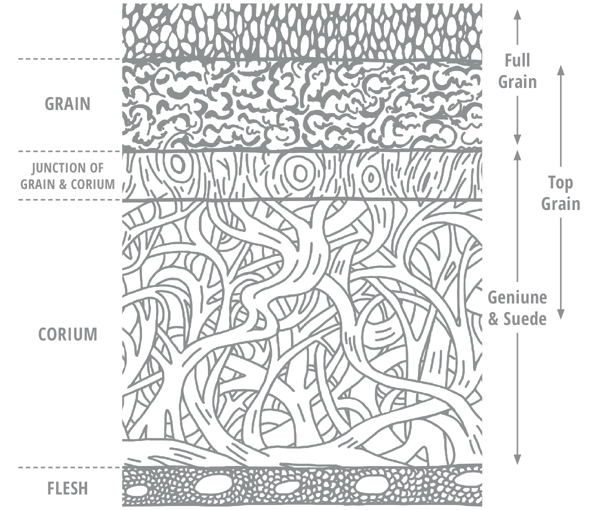 Altfield Leather Crosssection V3 Cropped