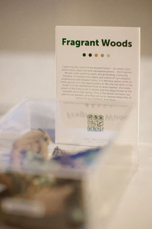 Odetocolour(D1) 0015